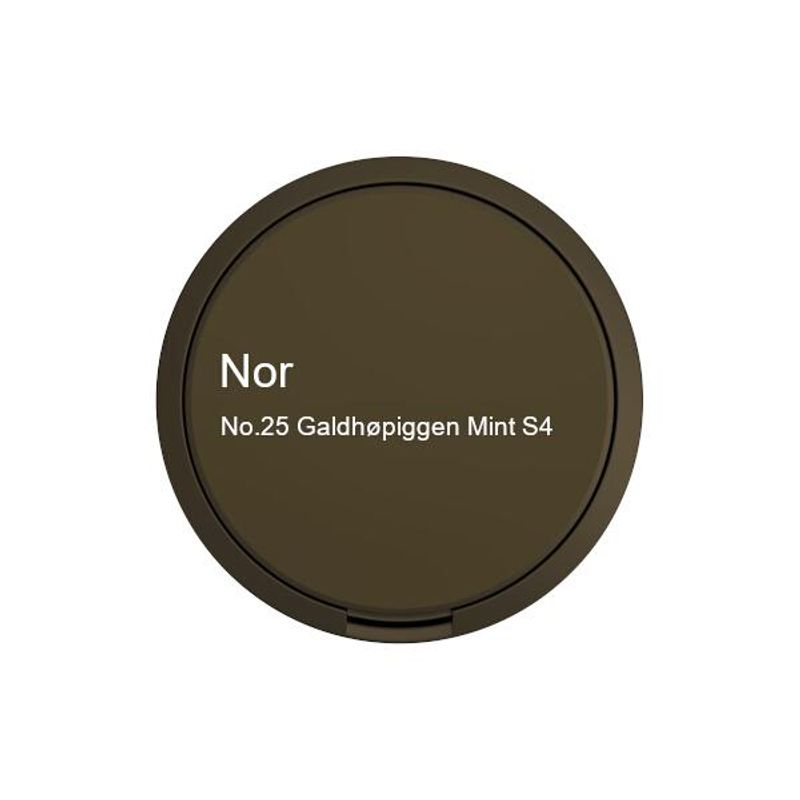 NOR - No.25 Galdhøpiggen Mint S4